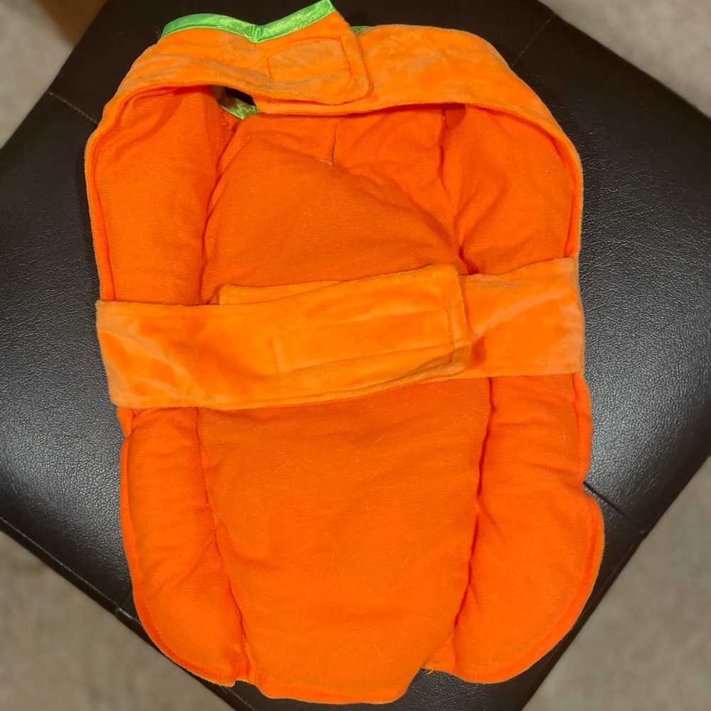 Dog Pumpkin Costume - Picture 2 of 5